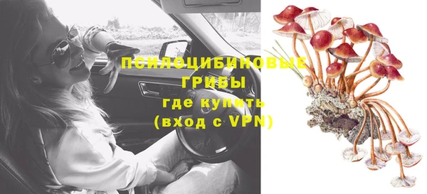 МДПВ Новодвинск
