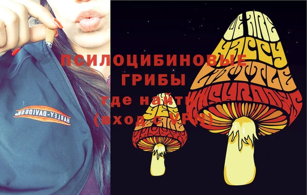 кокаин колумбия Новозыбков