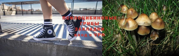 кокаин колумбия Новозыбков