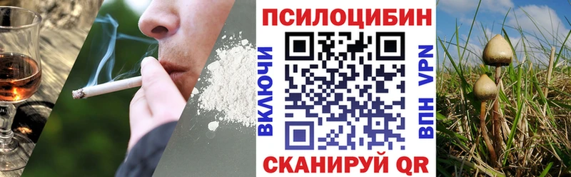 Галлюциногенные грибы Psilocybine cubensis  Северск 
