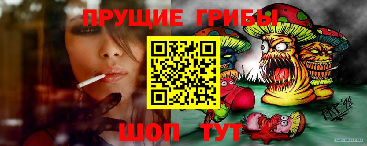 Псилоцибиновые грибы GOLDEN TEACHER Северск