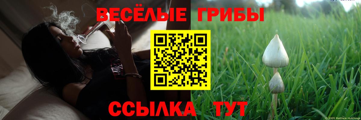 Псилоцибиновые грибы прущие грибы  Вход с VPN  цена   Северск 