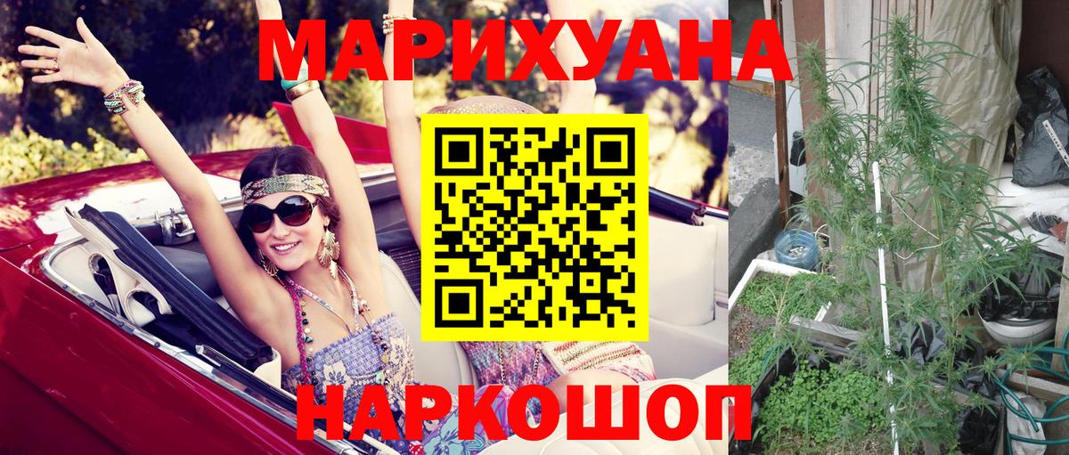 A PVP Северск